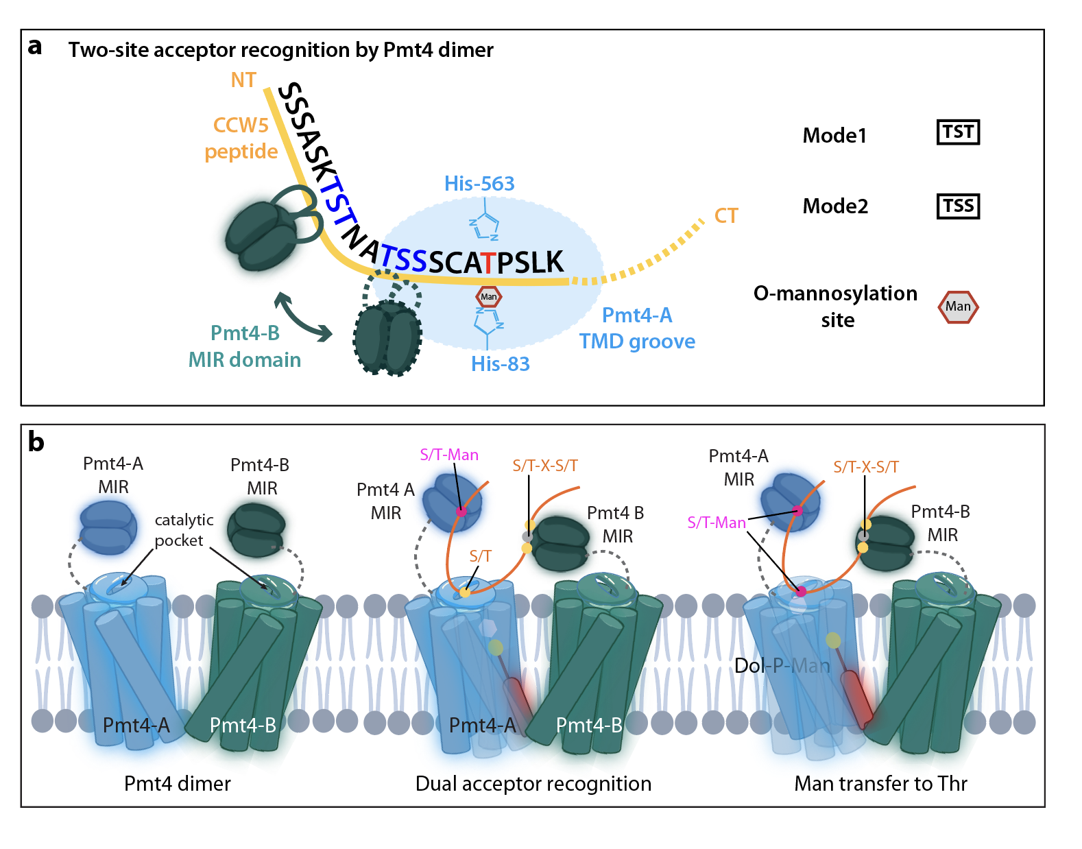 New Nature Communication paper